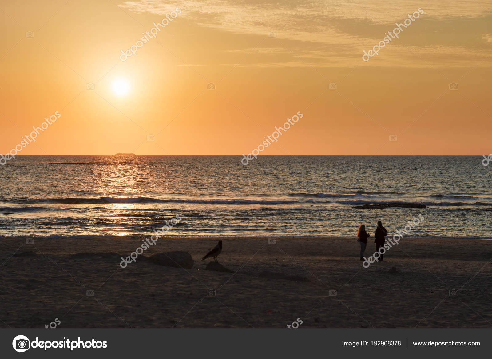 Image Sombre Une Date Romantique Pendant Les Heures Coucher