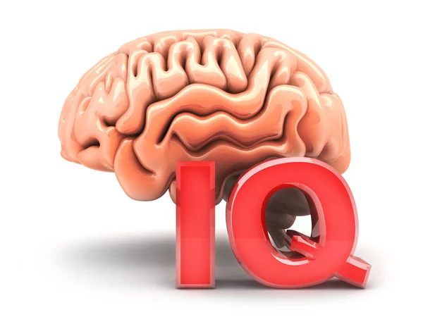 Cerebro humano y signo IQ — Foto de Stock