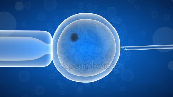 Τεχνητή γονιμοποίηση από ένα θηλυκό ωάριο. — Αρχείο Βίντεο