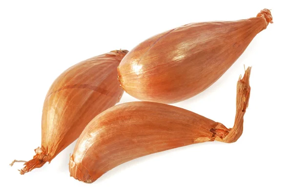 İzole soğancık soğan.