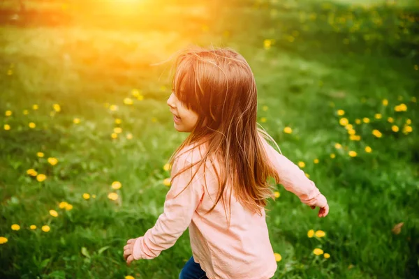 Gadis kecil berjalan di sepanjang halaman hijau dengan dandelion kuning, tampilan belakang. Gambar latar belakang, konsep tentang tema kebahagiaan, masa kecil dan riang . — Stok Foto