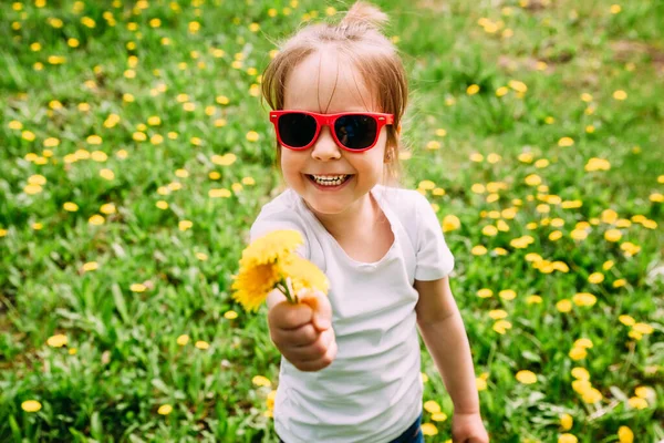 Klein meisje met een zonnebril op het gazon met gele paardebloemen. Kopieerruimte. — Stockfoto