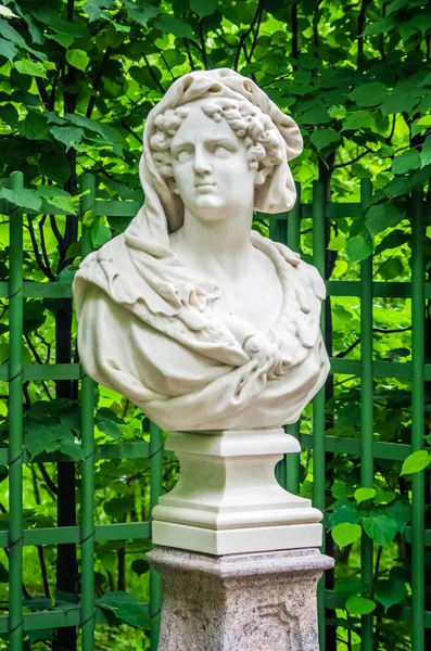 Antike statue im sommergarten in saint-petersburg — Stockfoto