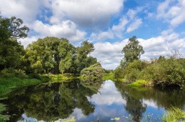 Renkli nehir ladscape