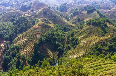 Pirinç Teras Sapa Köyü, Vietnam üzerinde şaşırtıcı görünümü