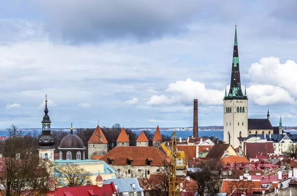 Bovenaanzicht op oude stad Tallinn — Stockfoto