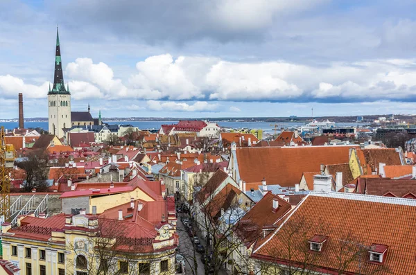 Kolorowy Widok Góry Starym Mieście Tallinie Estonia — Zdjęcie stockowe