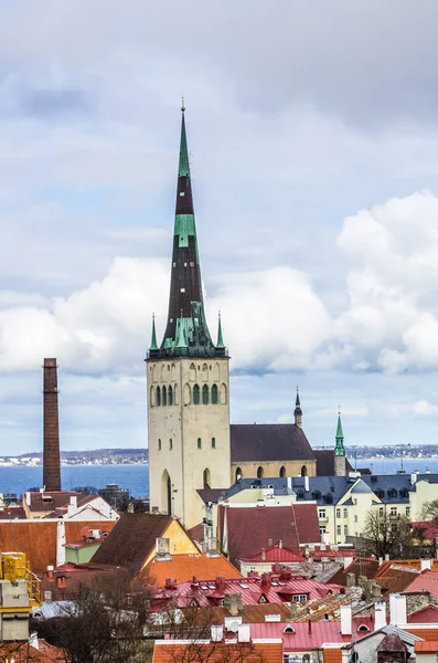 Renkli Üstten Görünüm Eski Şehir Aziz Olaf Kilisesi Tallinn Estonya — Stok fotoğraf