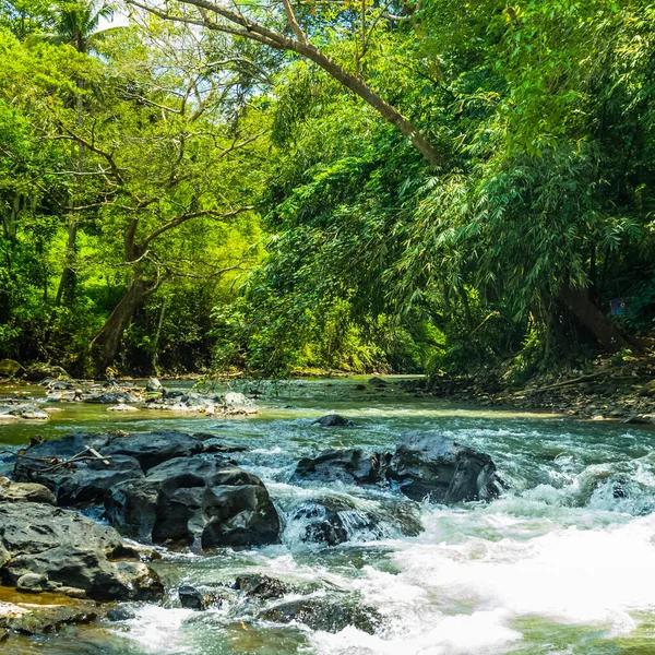 Widok Górską Rzekę Dżunglę Wodospad Tegenungan Rejonie Ubud Bali Indonezja — Zdjęcie stockowe