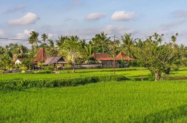 Vista Panorâmica Sobre Villa Campo Arroz Ubud Bali Indonésia — Fotografia de Stock