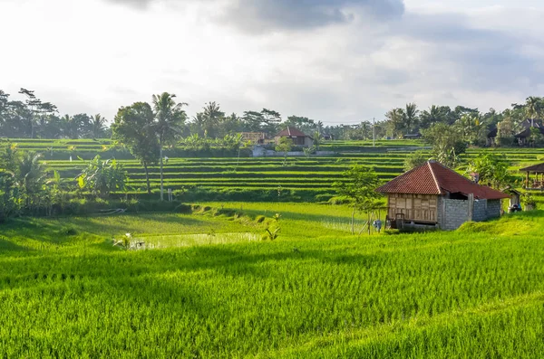 Vista Panorâmica Sobre Villa Campo Arroz Ubud Bali Indonésia — Fotografia de Stock