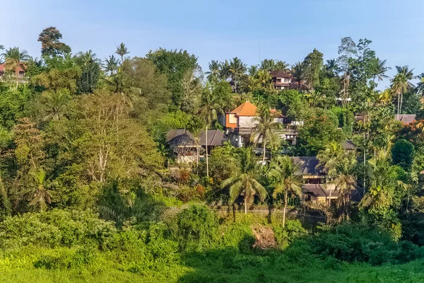 Vista Pôr Sol Selva Moradias Campuhan Ridge Walk Ubud Bali — Fotografia de Stock