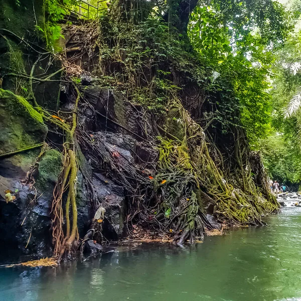 Río Montaña Una Selva Cerca Cascada Kanto Lampo Bali Indonesia —  Fotos de Stock
