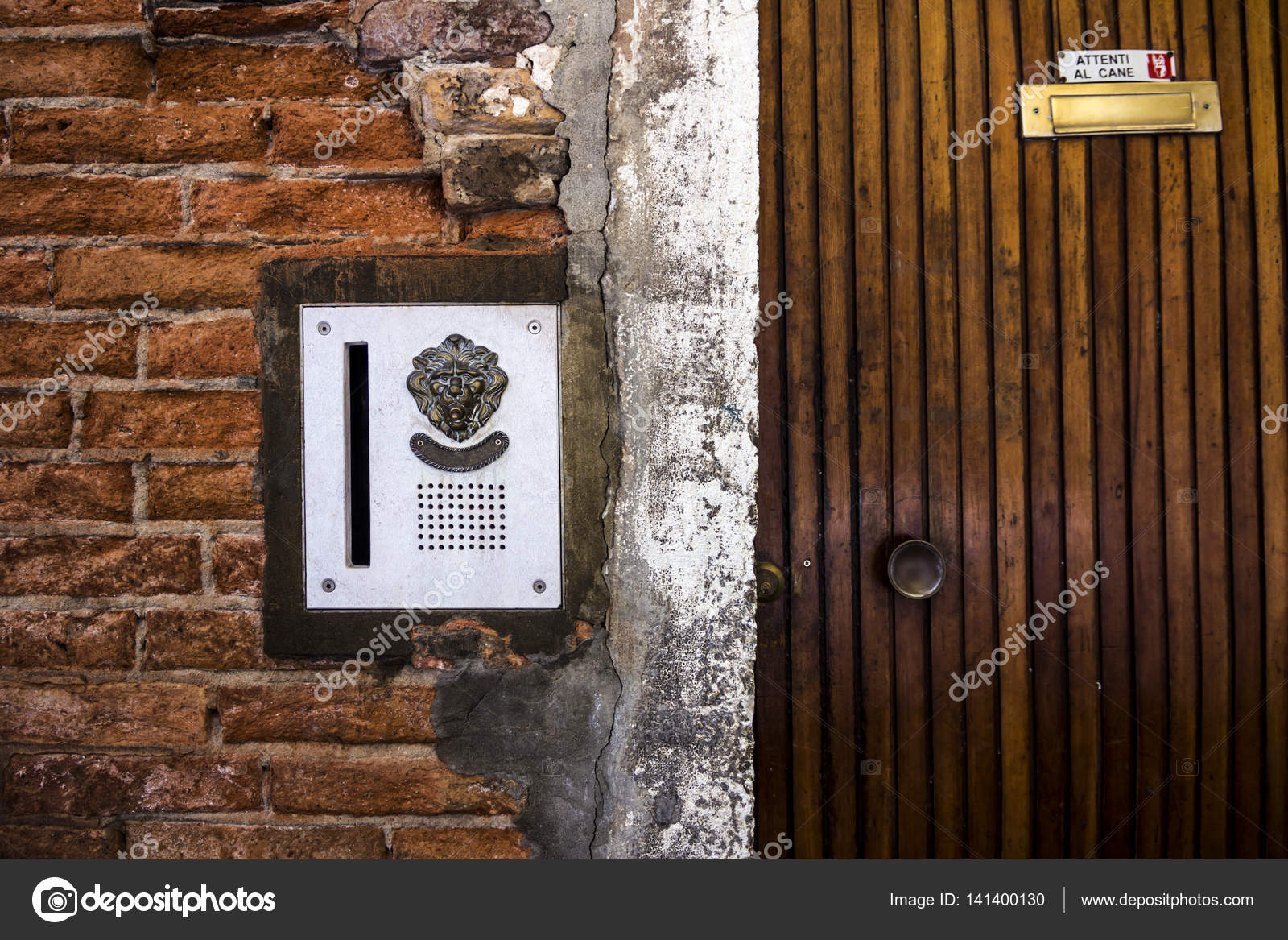 Brass Doorplate And Doorbell In A Shape Of A Lion S Head On