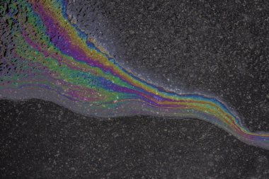 Petrol veya benzin solmuş yapraklar ile bir asfalt yolda muhteşem yanardöner çayı