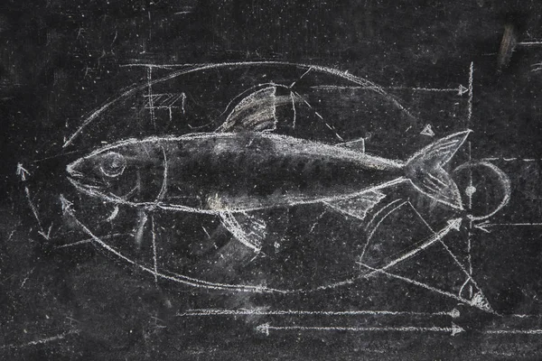 Menü kartı üzerindeki grafik olarak temsil edilen balık kroki çizim tebeşir. — Stok fotoğraf