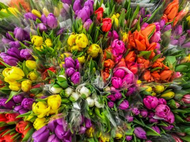 tatil öncesi taze pazar ahır, renkli Lale Çiçek demetleri