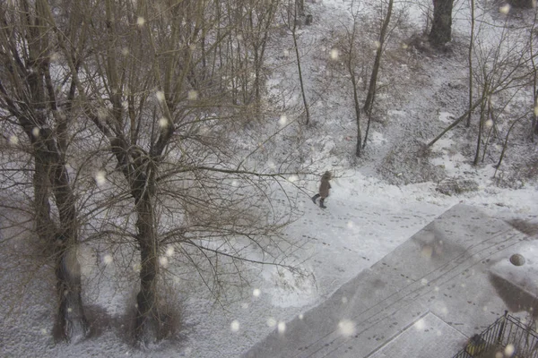 Stadtbild Des Stadtlebens Winter Schneesturm Mit Einigen Menschen Verschneite Autos — Stockfoto