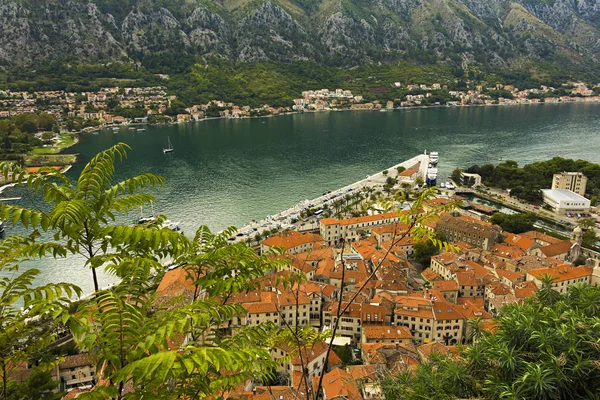 Montenegro Kotor Octubre 2019 Vista Bajorrelieve Bajo Relieve Las Antiguas — Foto de Stock
