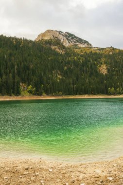 Karadağ, Avrupa 'daki Durmitor ulusal parkındaki buzul gölünün (Crno jezero), ormanın ve dağların farklı manzaraları
