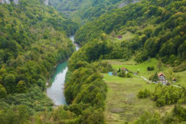  Karadağ 'ın Durmitor doğa parkındaki Tara Nehri Kanyonu, dağlar ve ormanlar