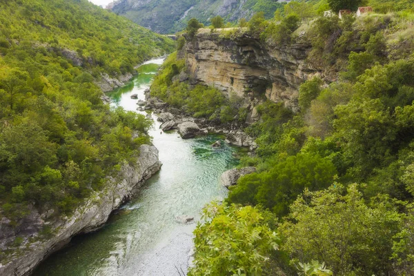 Canyon Rio Tara Montanhas Florestas Redor Parque Natural Durmitor Montenegro — Fotografia de Stock