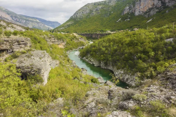 Canyon Rio Tara Montanhas Florestas Redor Parque Natural Durmitor Montenegro — Fotografia de Stock