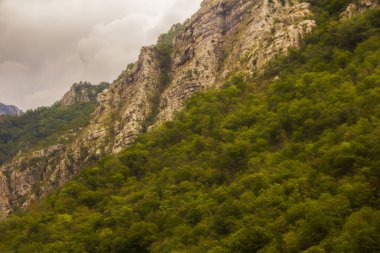 Karadağ 'ın Durmitor doğa parkındaki kanyon, dağ ve ormanların manzarası