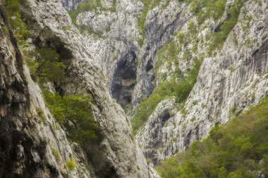 Karadağ 'ın Durmitor doğa parkındaki kanyon, dağ ve ormanların manzarası