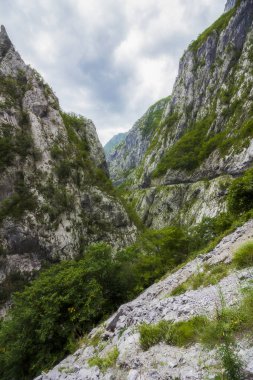 05 Ekim 2019, Karadağ. Durmitor doğa parkındaki yol, tüneller, kanyonlar, dağlar ve ormanların manzarası