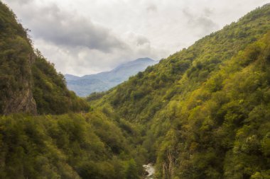 Karadağ 'ın Durmitor doğa parkındaki kanyon, dağ ve ormanların manzarası