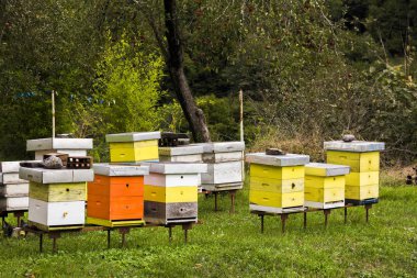Karadağ 'ın dağlarındaki Sırp Ortodoks manastırında (manastır) renkli kovanları olan küçük arı kovanları
