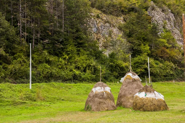 Haystacks covered by plastic sheet as protection against the rain on a grassy rural field in mountains. Beautiful countryside landscape with forested hills.