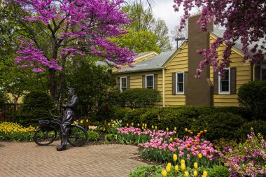 May 2, 2019, Pella, Iowa, USA. Tulip Time Festival Parade of Pella's dutch community, a festival dedicated to the citizens who immigrated from the Netherlands to America.