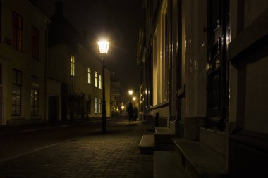  Utrecht, Hollanda, 21 Ocak 2020 Misty Evleri, Eski Hollandalı evleri, yayalar, cadde boyunca bisikletler.