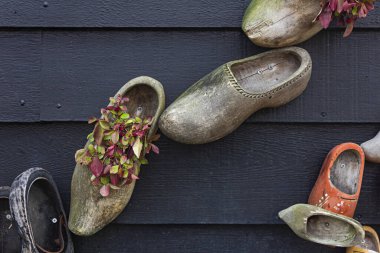 Zaanse Schans, Hollanda - 20 Ocak 2020: Hollanda 'nın Amsterdam kenti yakınlarındaki müze kompleksi köyünde bulunan geleneksel el yapımı Hollanda ahşap takunyaları