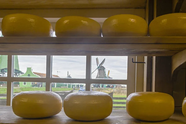 Zaanse Schans Zaandam Zaandijk Países Bajos Enero 2020 Cabezas Queso — Foto de Stock