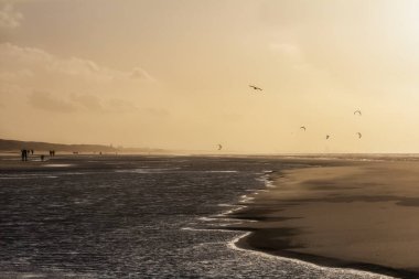Günbatımında rüzgarlı bir kış gününde kuzey sahili manzarası, millet, uçurtma ve martılar. Noordwijk, Hollanda