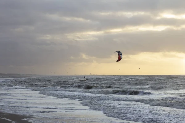 Günbatımında rüzgârlı bir kış gününde kuzey sahili manzarası, millet, uçurtma. Noordwijk, Hollanda