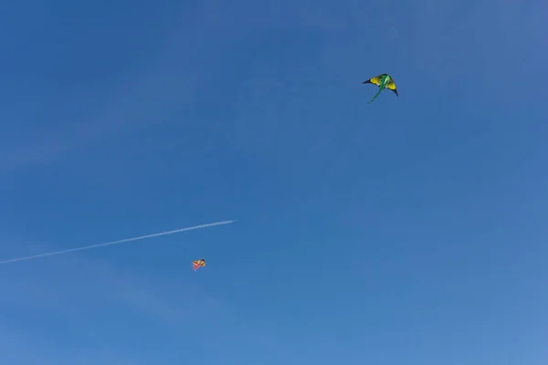 Nastri Colorati Figure Aquiloni Appesi Pali Che Volano Sul Cielo — Foto Stock