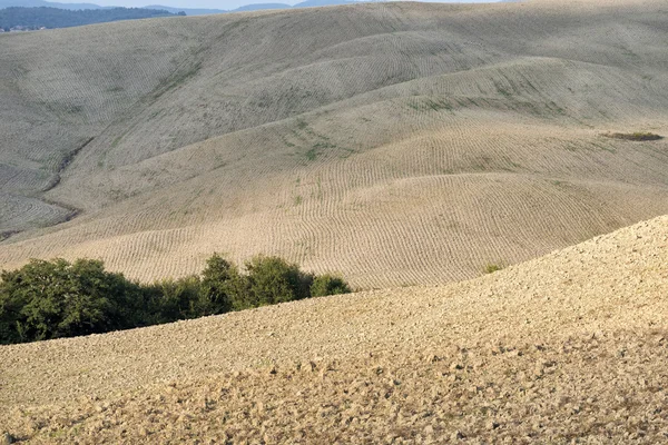 Denizde gün batımı — Stok fotoğraf