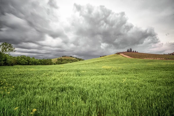 Denizde gün batımı — Stok fotoğraf