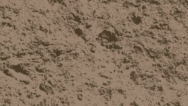 Soyut animasyon parlak kahverengi zemin — Stok video