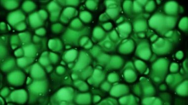 Bilgisayar arka plan yeşil