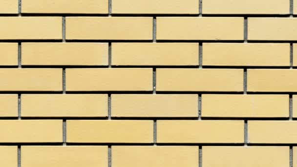 黄砖壁 — 图库视频影像