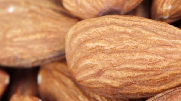 Dried almond nuts — Stock Video