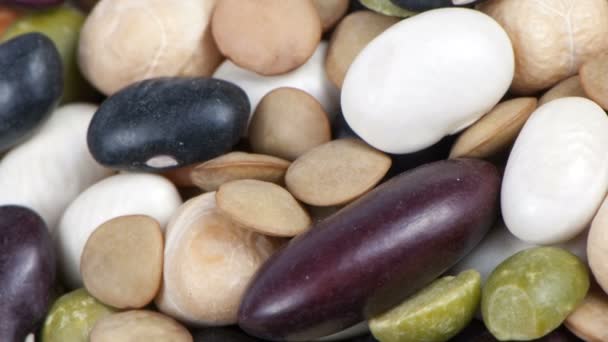 乾燥豆の混合物 — ストック動画