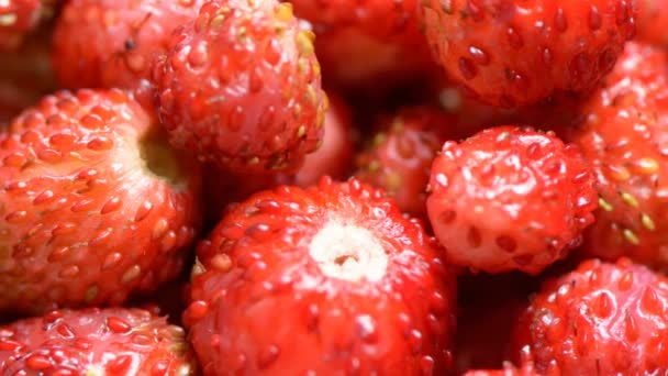 Ягоди солодкої стиглої полуниці — стокове відео