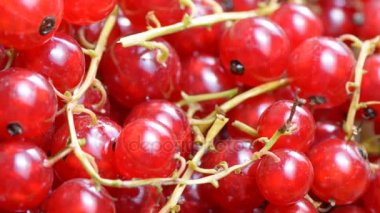 Frenk üzümü çilek