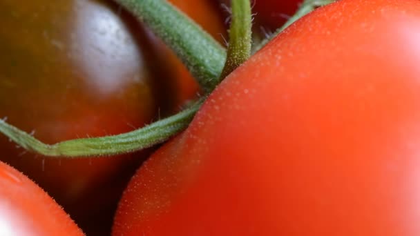 Groenten tomaten en komkommers — Stockvideo